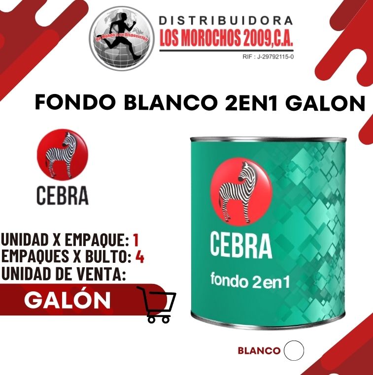 FONDO BLANCO 2 EN 1 GALON 1X1
